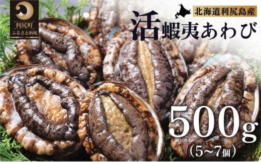 
            【10～12月発送受付】天然蝦夷『活』アワビ500g　利尻島産【期間限定】利尻昆布を食べて育った美味しいあわび お正月 おせち 刺身 北海道 利尻 エゾアワビ
          