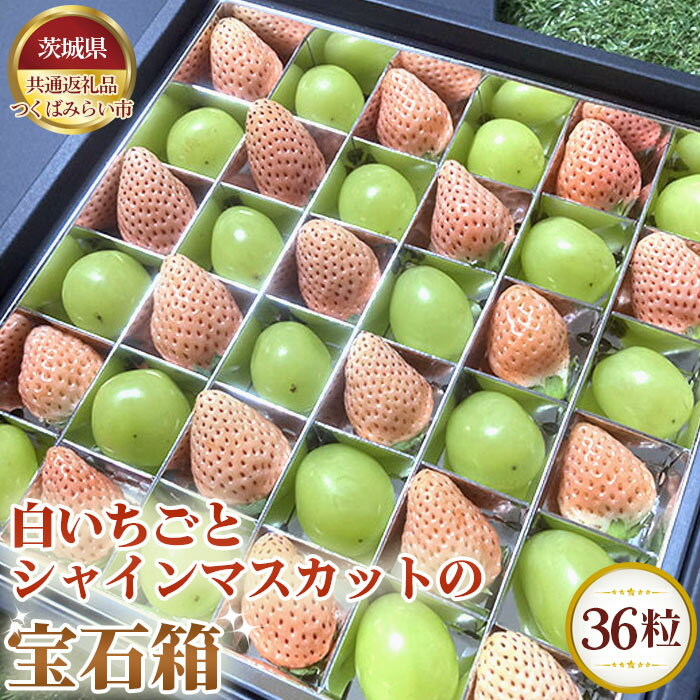【ふるさと納税】白いちごとシャインマスカットの宝石箱　36粒【茨城県共通返礼品 かすみがうら市】 ／ 旬 新鮮 苺 イチゴ 葡萄 ブドウ 果物 フルーツ 詰合せ セット 送料無料 茨城県 No.351
