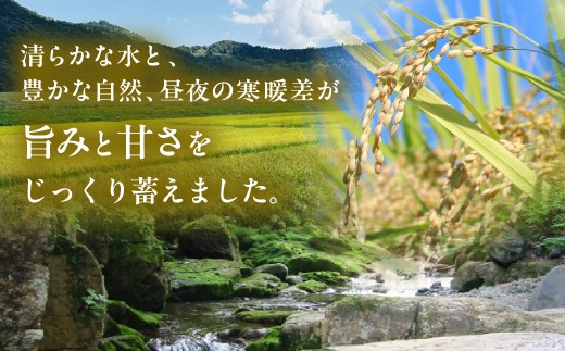 【定期便12回】令和8年産 郡上産こしひかり【 玄米】 5kg  こしひかり コシヒカリ 玄米 定期便 新米 コシヒカリ 5kg コシヒカリ 10kg 玄米 げんまい コシヒカリ こしひかり 新米 お