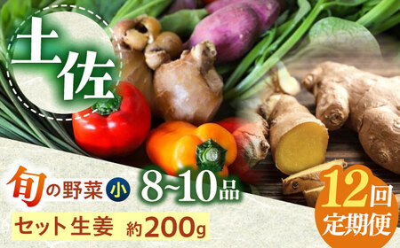 定期便 土佐の太陽をいっぱいに浴びた旬の野菜生姜約100gのセット「小」 (12回配送)【土佐野菜】 [ATBA013]