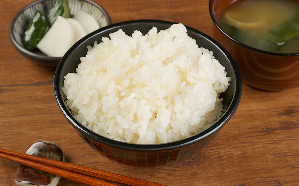 人吉球磨産 ひのひかり 5kg お米 産地限定