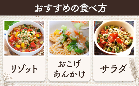 もち麦 令和7年産 キラリモチ 2kg 結城市産 けいいちろう商店 《30日以内に出荷予定(土日祝除く）》茨城県 結城市 もち麦 米 こめ コメ 麦 ご飯 お弁当
