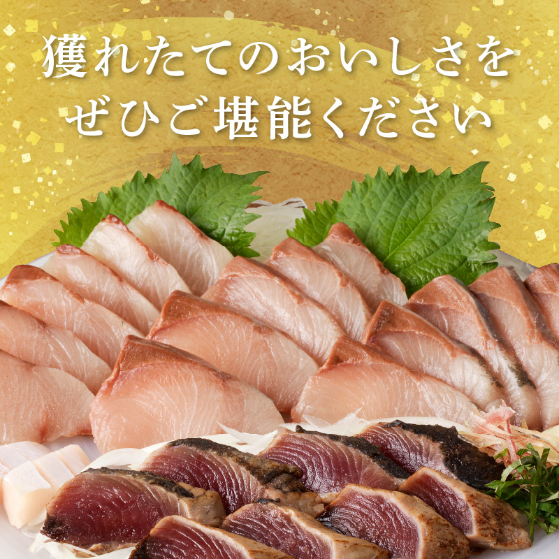 【6ヶ月定期便】大和海商 大和のこだわり漁師のお刺身4人前【冷蔵】 N072-YE131-1