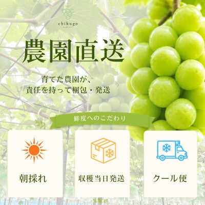 【全房糖度計測】糖度18度以上のみ出荷 シャインマスカット2kg(4～5房)2026年8月～9月発送【配送不可地域：離島】