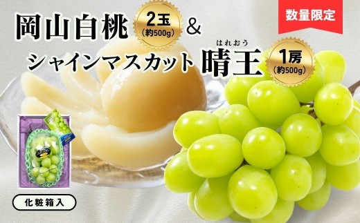 
                  岡山白桃2玉（約500ｇ）＆シャインマスカット晴王1房（約500ｇ）化粧箱入
                