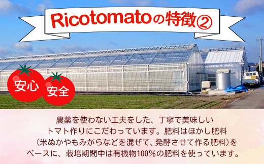【2025年12月中旬から出荷】たにぐちファーム 完熟ミニトマト 約1kg 『Ricotomato とりこになるトマト』 B-324