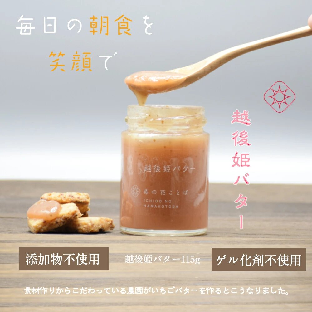 越後姫バター3瓶 いちご イチゴ 苺 加工品 お取り寄せ 新潟 苺の花ことば