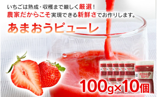 
あまおうピューレ100g×10個　BD09
