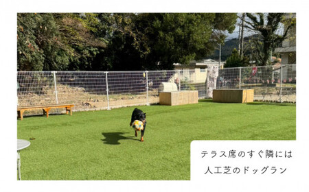 ペア 宿泊券 朝食付き 2名 ペット  (犬 いぬ 古民家 リゾート レストラン ドッグラン 山口 下関 角島 観光 絶景 犬と泊まれる ペットと泊まれる)JH001