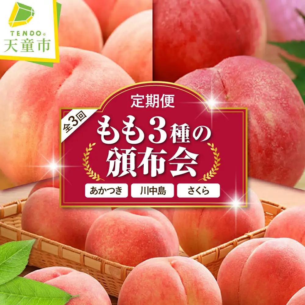 もも 3種 の 頒布会 ( 定期便 ) 全3回 フルーツ 山形 桃