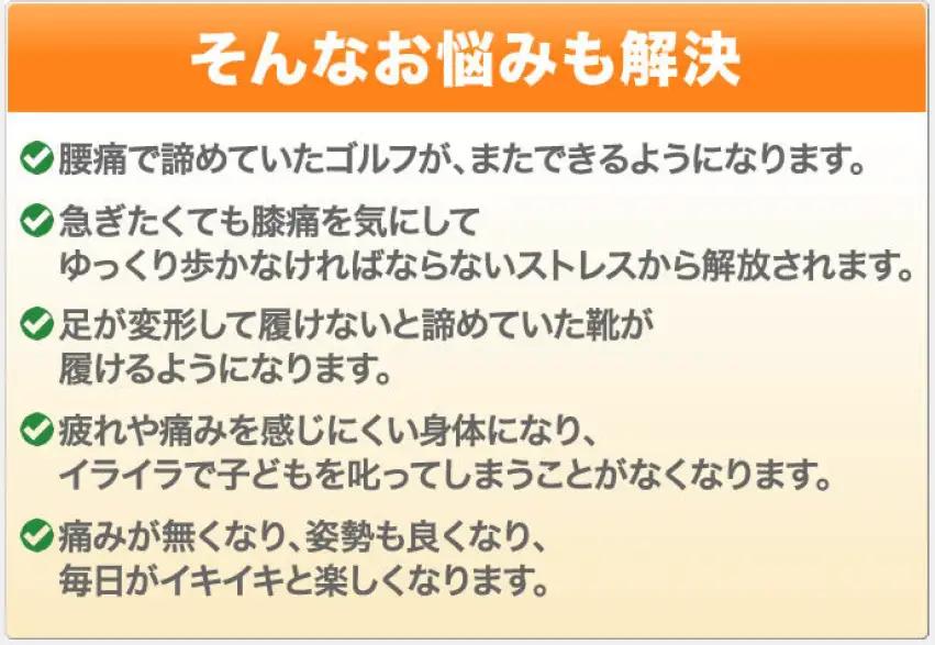 カイロプラクティック施術1時間コース回数券6回分 | 関節 身体 筋肉 治療 埼玉県 越谷市