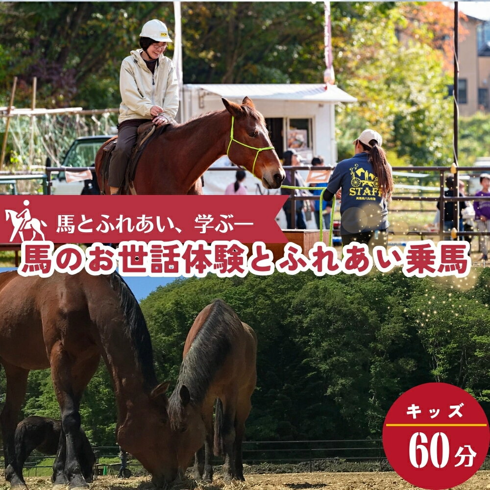 【ふるさと納税】馬のお世話体験とふれあい乗馬【 キッズ 】 体験 馬 乗馬