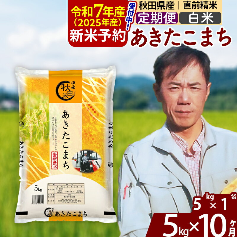 【ふるさと納税】※令和7年産 新米予約※《定期便10ヶ月》秋田県産 あきたこまち 5kg【白米】(5kg小分け袋) 2025年産 お届け周期調整可能 隔月に調整OK お米 みそらファーム