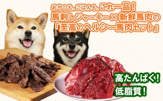 【定期便6回】ペットフード 馬刺し ジャーキー 100g +馬肉 1kg 満喫セット おやつ 肉 馬肉 ドッグフード 定期便 ペット用 馬刺 無添加 小分け 高たんぱく質 低脂質 ヘルシー 熊本県 水