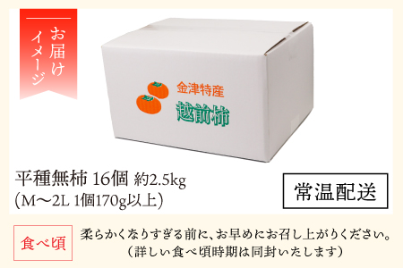 【先行予約】越前柿 16個入 約2.5kg（M～2L）≪JA受賞歴親子２代≫ ／ 果物 フルーツ 柿 産地直送 期間限定 あわら ※2024年11月上旬より順次発送