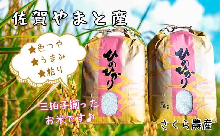 佐賀県大和産「ひのひかり」5kg×2袋 米 農家直送：B320-018