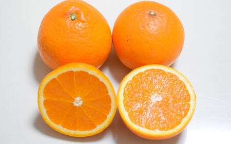 【訳あり・ご家庭用】【濃厚】有田産清見オレンジ約5kg(サイズおまかせまたは混合)ご家庭用【2026年2月中旬～3月下旬頃発送予定】【TM-tec1020】