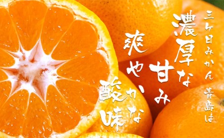 【2024年3月上旬以降順次発送】三ヶ日みかんジュース ストレート「あおしま」180ml  6本【静岡 三ヶ日 みかん ジュース】