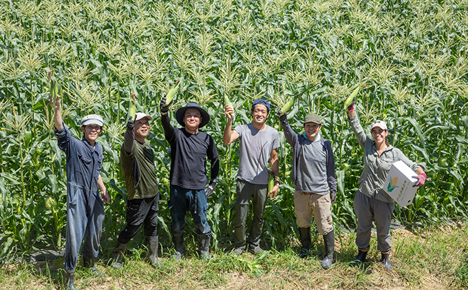  ［2024年］ まるでフルーツ！最高糖度25度超え 生で甘い、茹でて美味い！牛窓産 黄色 とうもろこし 「桃太郎コーン」約4kg（8～12本入り）