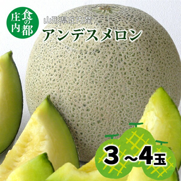 【ふるさと納税】【令和8年産】食の都庄内　アンデスメロン 3～4玉※2026年7月上旬頃より発送開始予定 （庄内たがわ農業協同組合）