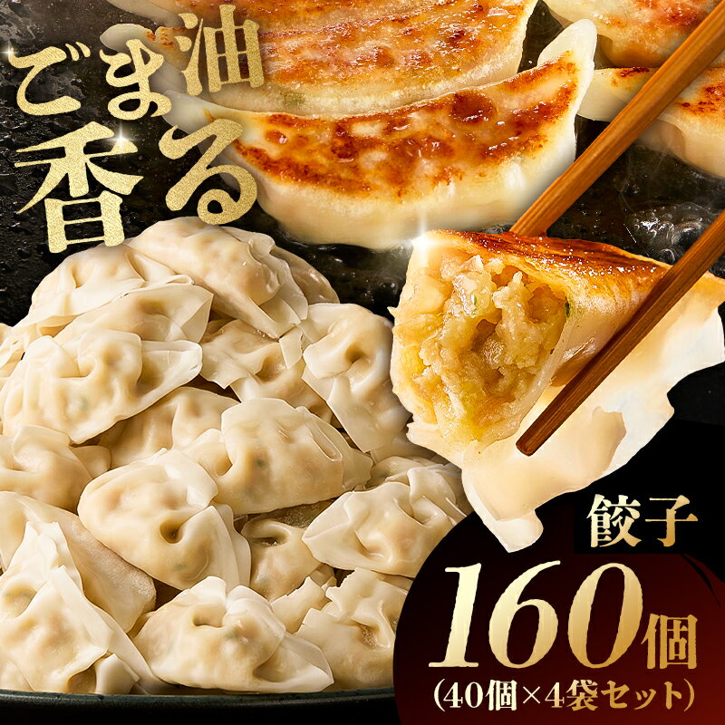 【ふるさと納税】 餃子 40個×4袋セット 千葉県 南房総市 国産 豚肉 鶏肉 焼き餃子 揚げ餃子 水餃子 ごま油 おつまみ おかず もっちり皮 中華 惣菜 詰合せ お取り寄せ グルメ 送料無料