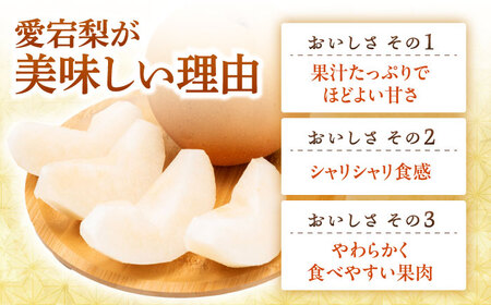 【12月上旬発送開始】愛宕梨 約3kg (3玉-5玉) / フルーツ 果物 なし ナシ くだもの なし 梨 なし くだもの [AFAR025]