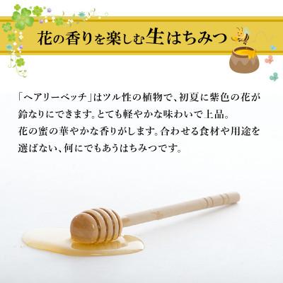 ふるさと納税 生駒市 生駒で採れた蜂蜜「ヘアリーベッチ」500g |  | 02