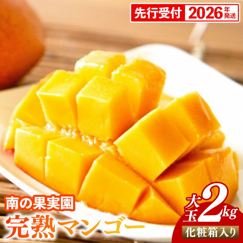 【ふるさと納税】【化粧箱入】【先行受付・2026年発送】南の果実園 完熟マンゴー 大玉2kg（4玉）〈贈答用化粧箱入り〉 - 先行予約 沖縄県産 産地直送 アップルマンゴー 旬の味覚 季節の果物 贈り物 ギフト 沖縄県 八重瀬町