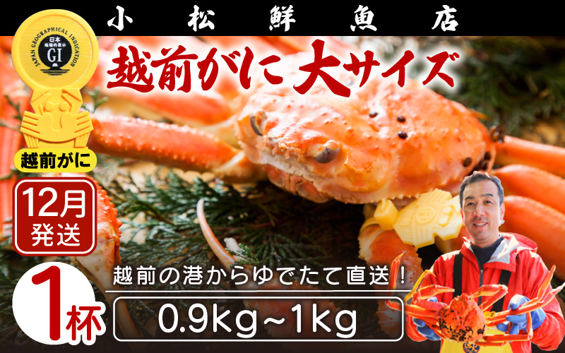 
            越前がに本場の越前町からお届け！ 越前がに 浜茹で 大サイズ（生で0.9～1kg） × 1杯【かに カニ 蟹】【福井県 越前町 雄 ズワイガニ ボイル 冷蔵 越前ガニ 越前かに 越前カニ ずわいがに ずわい蟹 かに カニ 蟹】【12月発送分】希望日指定可 備考欄に希望日をご記入ください [e23-x004_12]
          