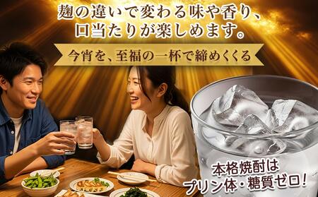 【ちび霧セット】黒霧島・白霧島パック(25度)900ml各1本≪みやこんじょ特急便≫_LG-M802_(都城市) 10日以内お届け スピード配送 霧島酒造 白霧島 黒霧島 本格芋焼酎 25度 900m