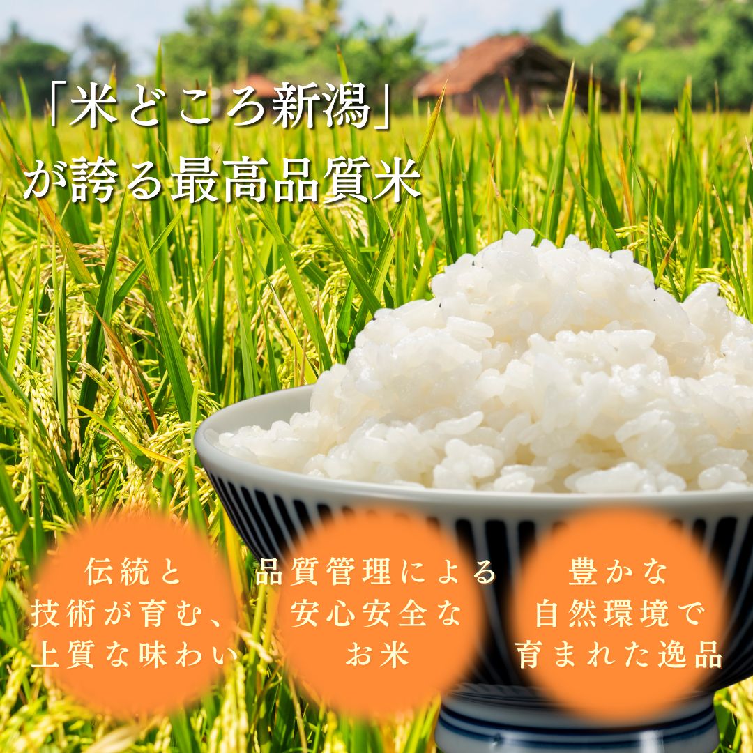 【先行予約】令和8年 新米 新潟上越産コシヒカリ 定期便 【6ヶ月連続お届け】5kg×6回 30kg 新潟 米 新潟県 こしひかり 限定 おすすめ