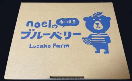 ブルーベリー Lucaho Farm 100g×5p 香川県産 冷蔵ブルーベリー フルーツ 果物 くだもの 旬のフルーツ 旬の果物 香川 香川県 東かがわ市