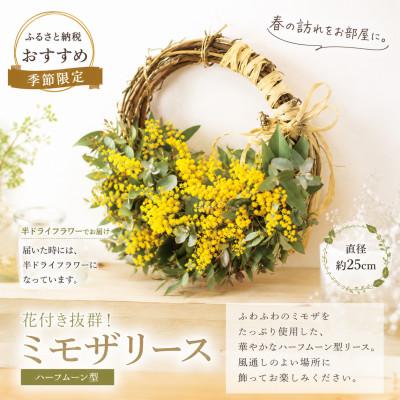 ふるさと納税 倉敷市 「春を届ける|フレッシュミモザとユーカリのハーフムーン M【2027年2月下旬-3月下旬 発送予定】