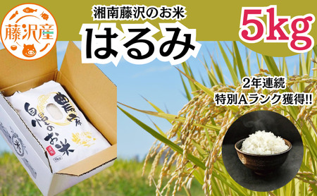 新米 特Aランク はるみ 5kg 新米 新米 新米 新米 新米 新米