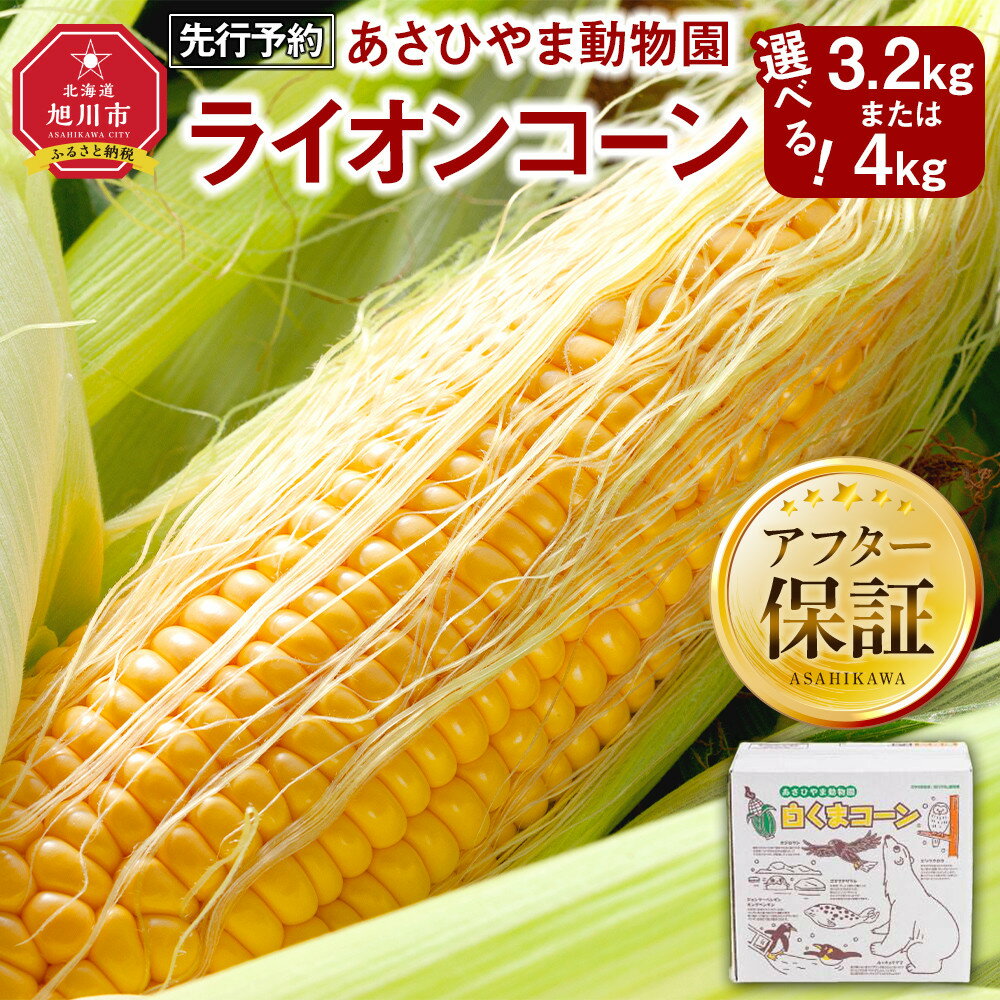 【ふるさと納税】【26年発送先行予約/容量選択可能】あさひやま動物園ライオンコーン約3.2kg～4kg(ゴールドラッシュ8～10本) 2026年8月下旬から発送開始予定 | とうもろこし ゴールドラッシュ ライオンコーン 旭川市