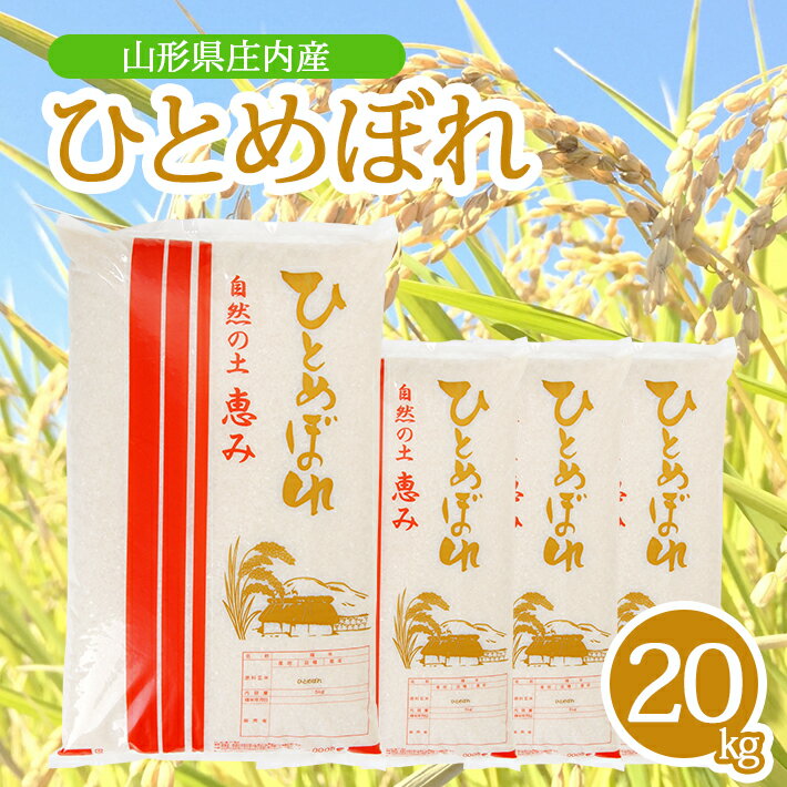 【ふるさと納税】ひとめぼれ 5kg×4袋 計20kg 令和7年産米 山形県庄内産 東北 山形県 酒田市 庄内地方 米 精米 白米 お米 ごはん ご飯 庄内米
