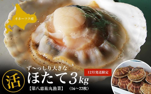 【12月発送限定】オホーツク産 『活』 ほたて 3kg（16～22枚）【 ふるさと納税 人気 おすすめ ランキング 魚介類 貝 ほたて ホタテ 帆立 帆立貝柱 ホタテ貝柱 ほたて貝柱 新鮮 北海道 佐呂間町 送料無料 】 SRMN022