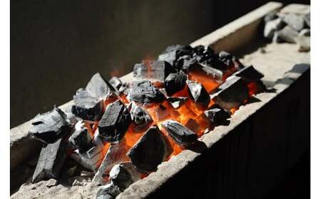 【備長炭で焼く“いい焦がし”】三河一色産うなぎの蒲焼8尾 鰻 ウナギ たれ タレ 国産 備長炭 土用 丑の日 冷凍 三河一色産 H189-015