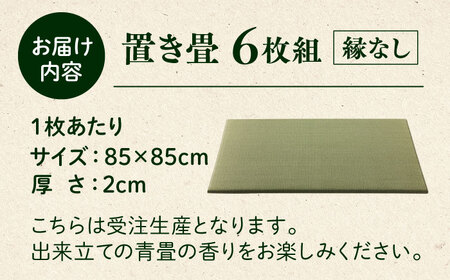 一畳屋 たたみっこ 縁無し 畳 6枚セット 　【一般社団法人クラッシーノこうし】[AYAB109]