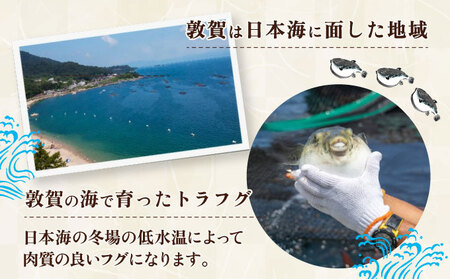 【数量限定】敦賀セット『 敦賀ふぐ 2尾分(約1200g)  & 敦賀市地酒 月きよし720ml ×1本 』[000-a003]