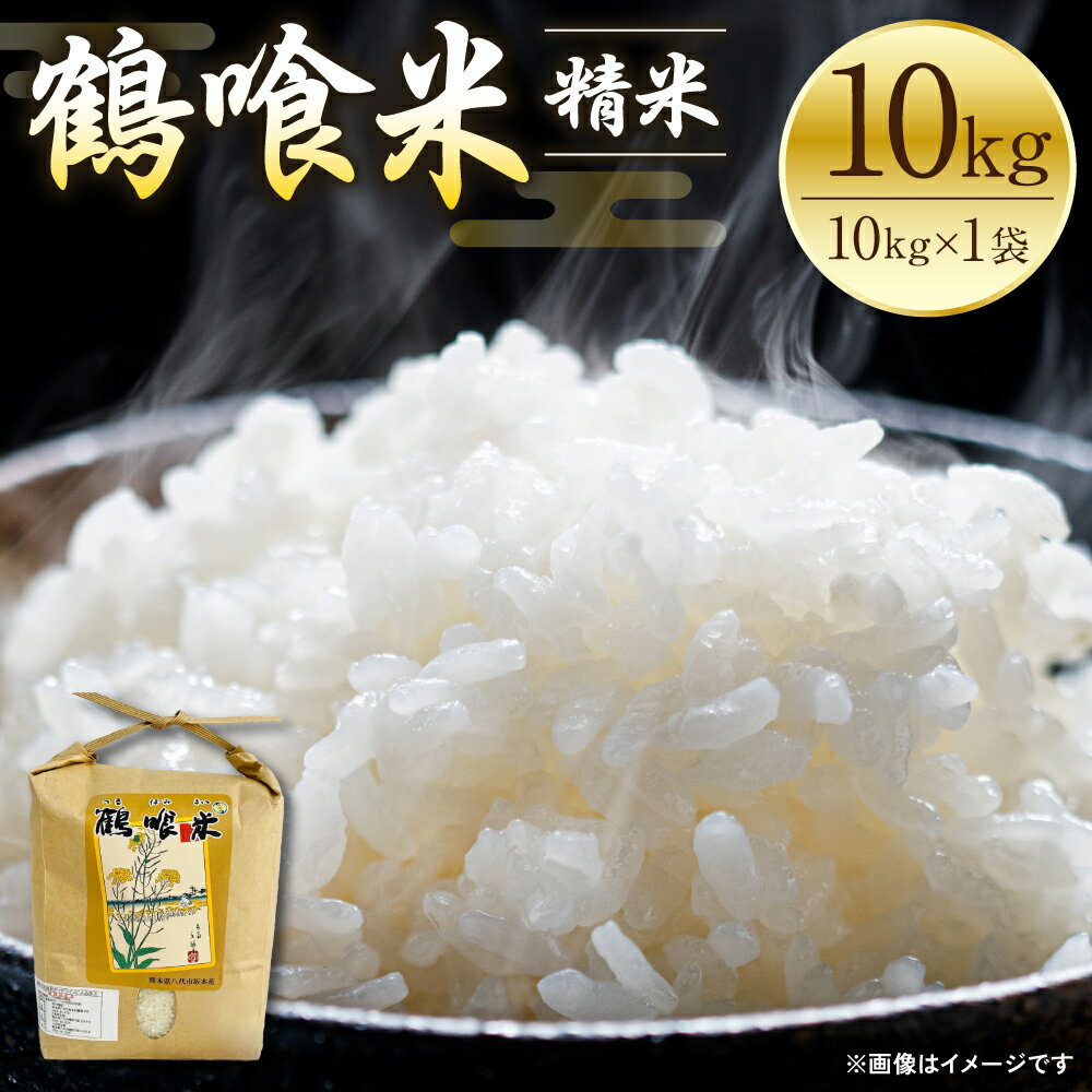 【ふるさと納税】 【先行予約】 《令和7年産》 鶴喰米 精米10kg くまさんの輝き 米 精米 白米 熊本県産 国産 送料無料 【2025年10月中旬より順次発送】