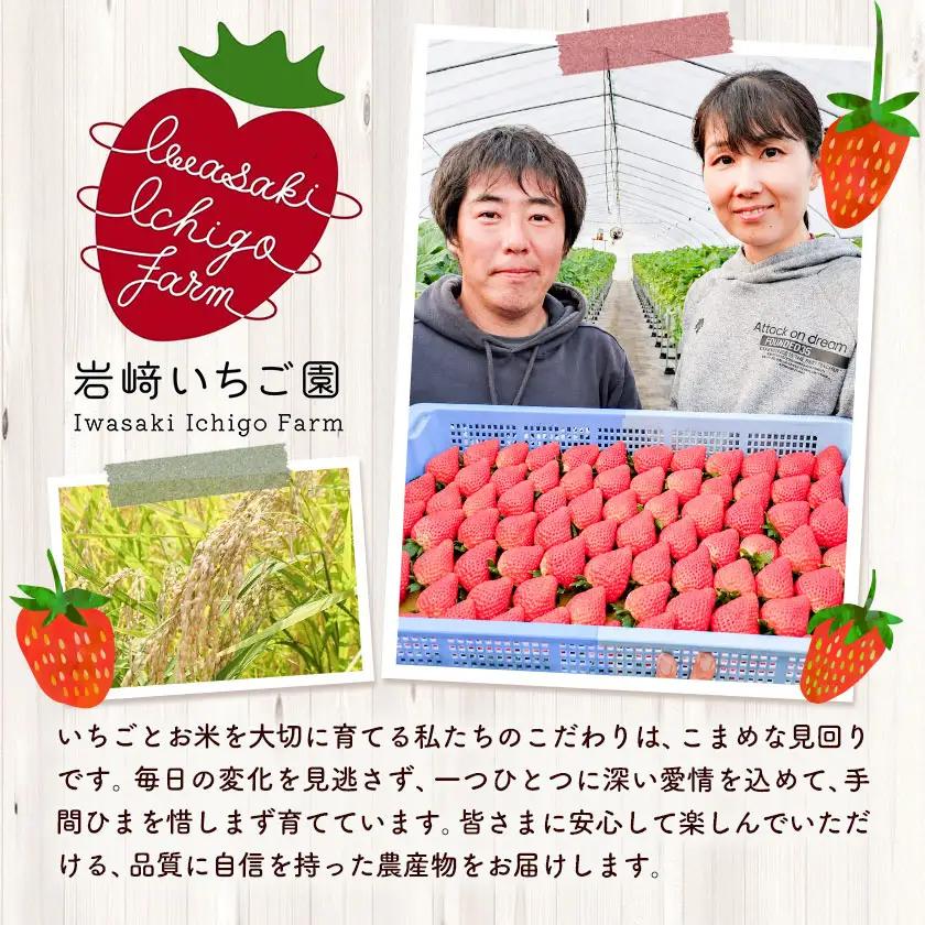 いちご 栃木県芳賀町産 とちあいか 4パック 岩崎いちご園