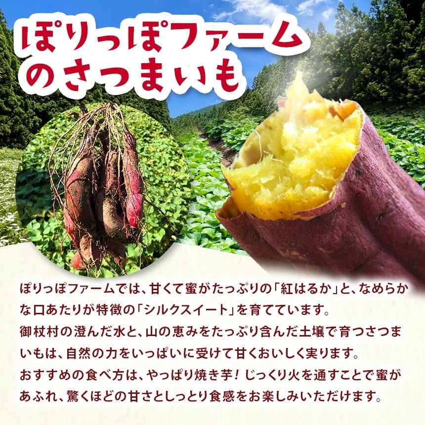 
                  【先行予約】【数量・期間限定】 蜜滴る紅はるか（栽培期間中は農薬・化学肥料不使用）選べる内容量  2kg / 4kg / 5kg | 紅はるか シルクスイート さつまいも 化学肥料不使用 蜜たっぷり 甘いさつまいも 自然栽培 山の恵み ぽりっぽファーム 奈良県 御杖村
                