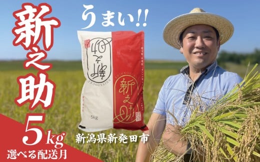 【12月発送】 令和7年産 新之助 5kg 新米 お米 こめ ご飯 ごはん おいしい 新潟 新潟県 米 5kg 新発田産 新潟産 朝食 昼食 夕飯 炊きたて 精米 ブランド watasho007_202512