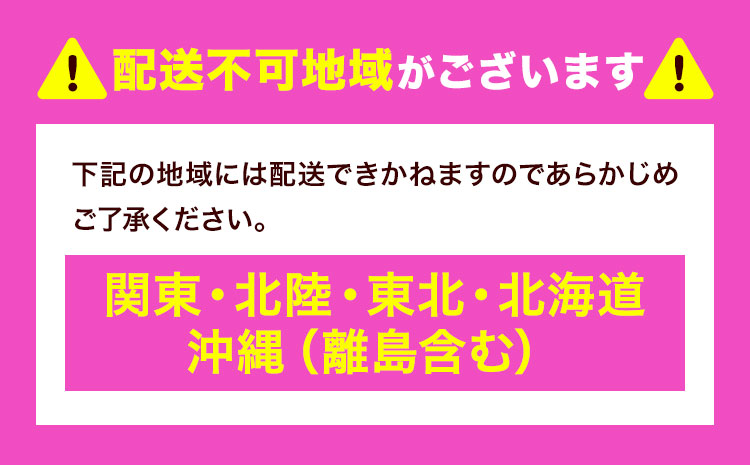 【西日本限定発送】浜崎水産の緋扇貝 15個 《12月上旬‐12月末出荷》 【配送不可地域あり】 海鮮 海産物 海の幸 魚貝類 シーフード 貝 貝類 緋扇貝 浜崎水産 贈答 熊本県 苓北町---d05r