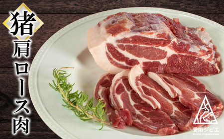 愛南 ジビエ の 猪 肉 3種 詰め合わせ 600g （ 肩ロース / モモ / ミンチ 各 200g ） イノシシ 冷凍 真空 パック 国産 天然 猪肉 挽肉 ひき肉 ジビエ肉 赤身 切り落とし 精