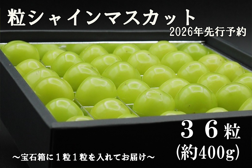 
            【令和８年度先行予約】《厳選・宝石箱》シャインマスカットひと口BOX(３６粒入り・約400g)　シャイン マスカット ぶどう 葡萄 ブドウ 房なし 粒シャイン 粒のみ 粒だけ くだもの 果物 フルーツ 山梨 やまなし 富士川町
          