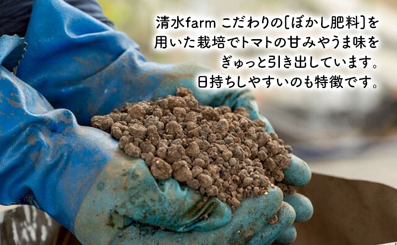 【2026年発送】●2回定期便● 富良野産 採れたて直送! 「ア