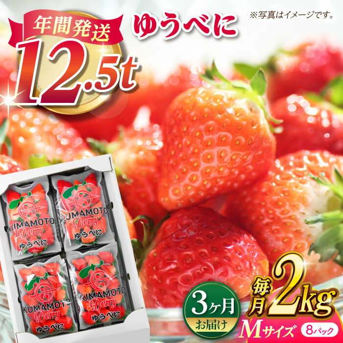 【ふるさと納税】【先行予約】【3回定期便】いちご Mサイズ ゆうべに 2kg（8pc）【熊本ベリー】[ZER011] イチゴ 苺 ストロベリー ギフト 産地 新鮮 評判 完熟フレッシュ 国産 熊本県産 果物 くだもの フルーツ 人気 セット 季節 産地直送 特産 おすすめ 期間限定 送料無料
