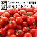 【ふるさと納税】 【先行予約】 たにぐちファーム 完熟ミニトマト 1kg Ricotomato とりこになるトマト 野菜 とまと トマト 佐賀産 佐賀県 鹿島市 佐賀 送料無料 春 夏 旬 B-324